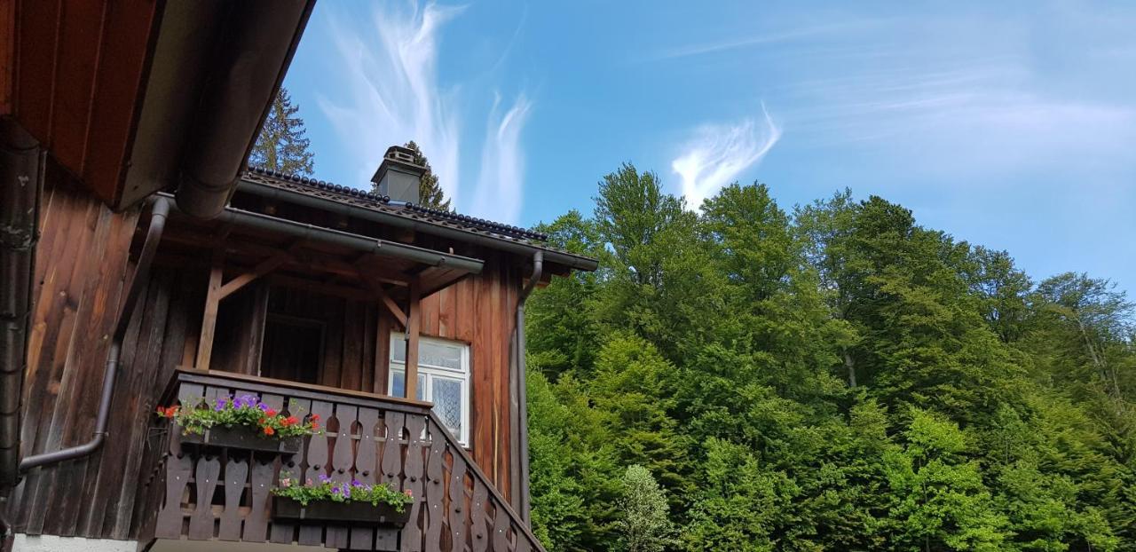 Ferienhof Ziegler- Sonnenschein Baiersbronn Exterior foto